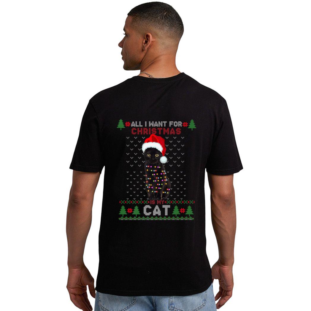 Funny Cat lovers Cute Cat Santa Hat Ugly Christmas Sweater Premium Men T-Shirt